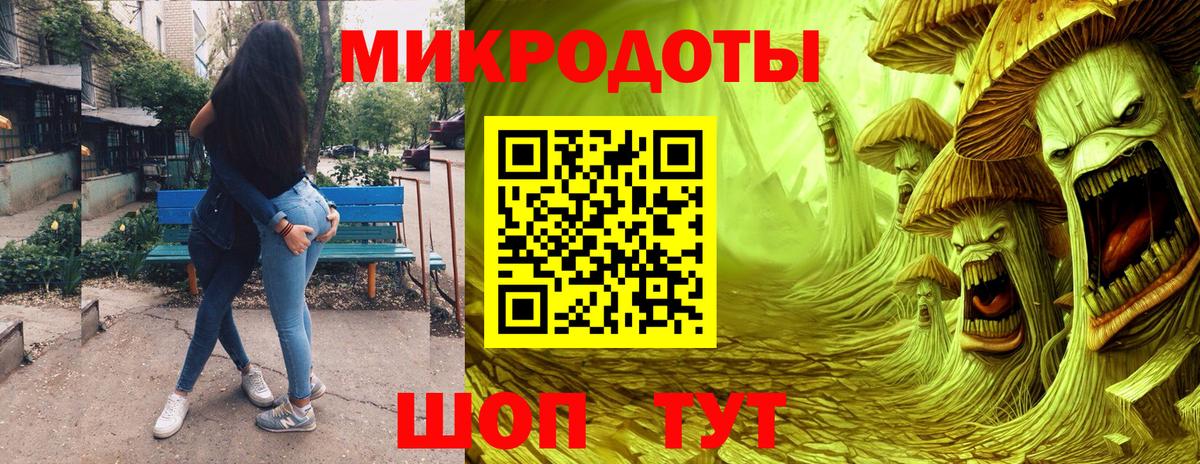 Галлюциногенные грибы Psilocybe Жигулёвск